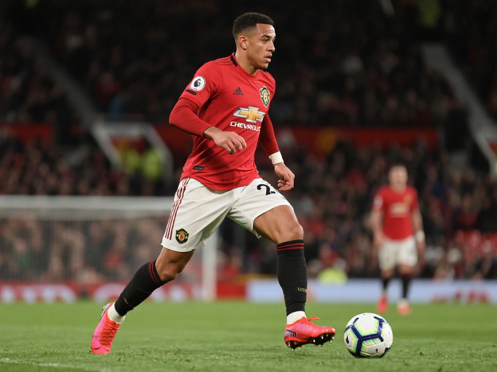 供了更多与 供了更多与